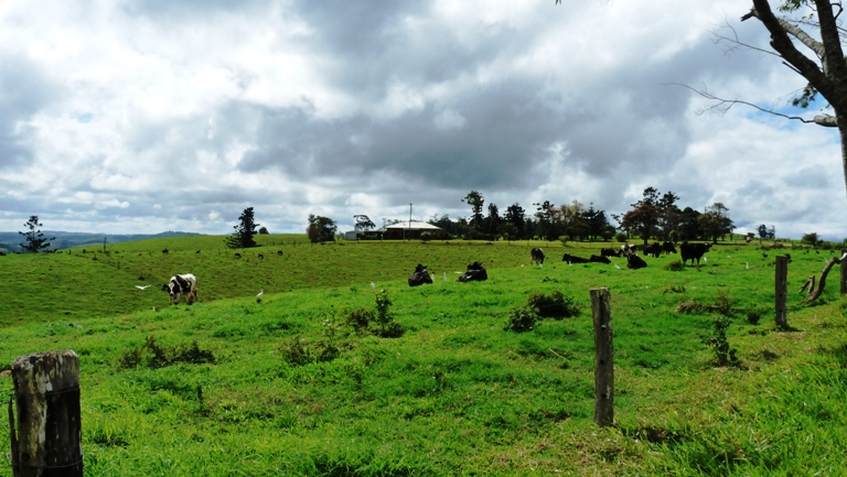 Landschaft in den Atherton Tablelands